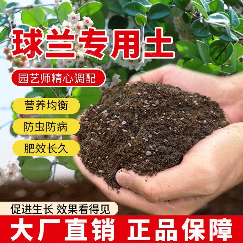 球兰专用土肥料天然花草球兰营养土园艺室内花盆椰砖绿植蓬松种花图片