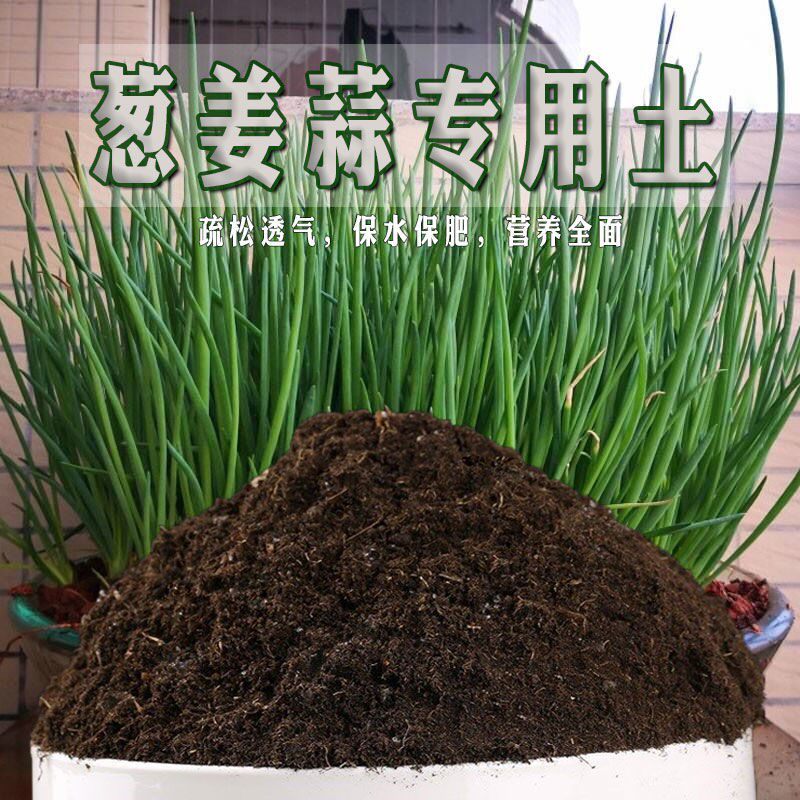葱姜蒜专用土小葱辣椒土种菜土盆栽营养土通用弱酸性蔬菜土壤家用