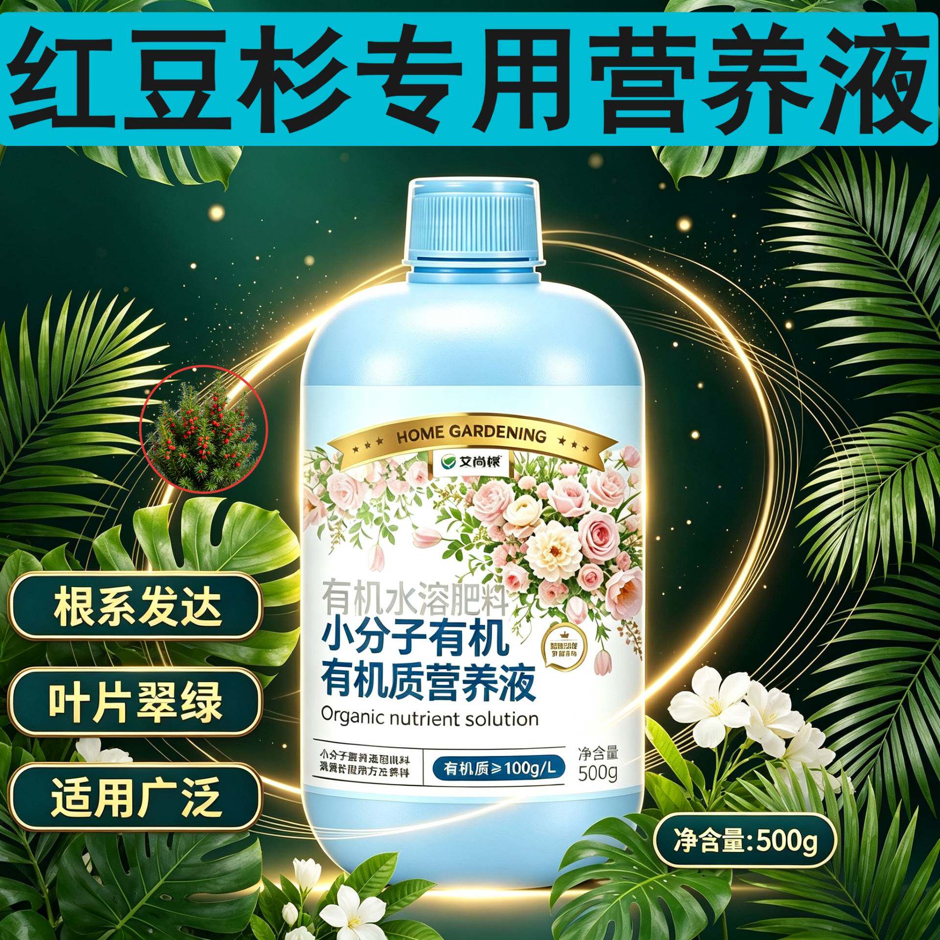 红豆杉适用浓缩型营养液小分子有机质适用广泛浓缩高效盆栽家用