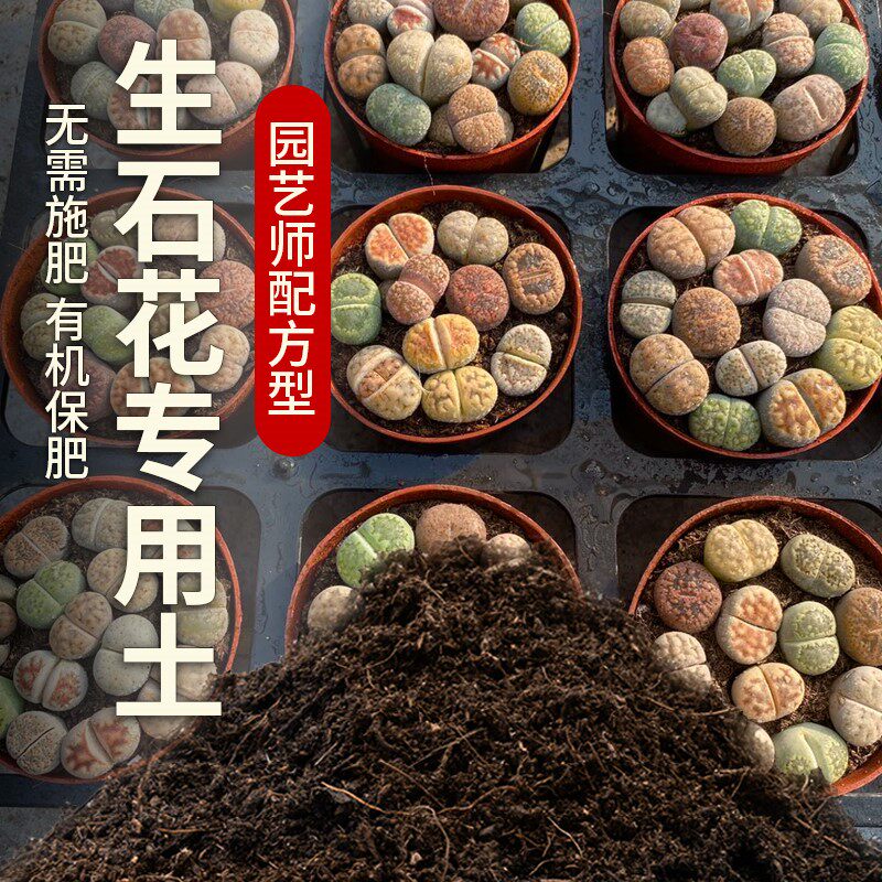 石生花专用土多肉植物土透气盆栽土家庭种植土石生花营养土颗粒土