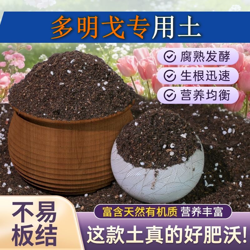 多明戈适用栽培土防烂根疏松透气花园包邮精选绿叶球根家庭园艺
