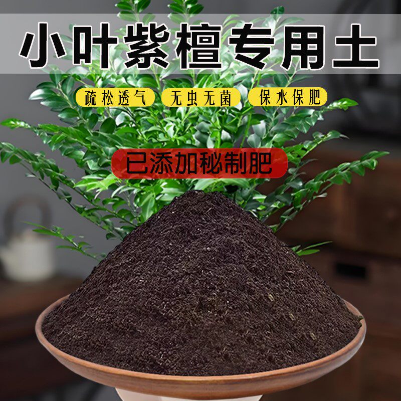 小叶紫檀专用土花卉土肥料土种植土紫檀专用营养土有机土泥土透气