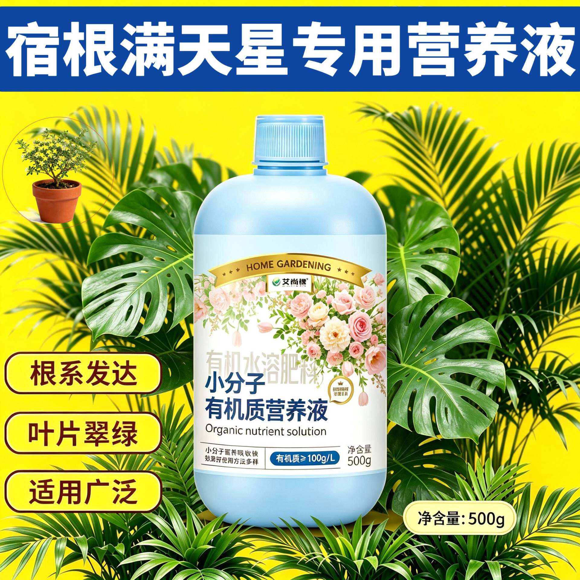 宿根满天星专用浓缩型营养液小分子有机质水溶肥根叶双补家用盆栽
