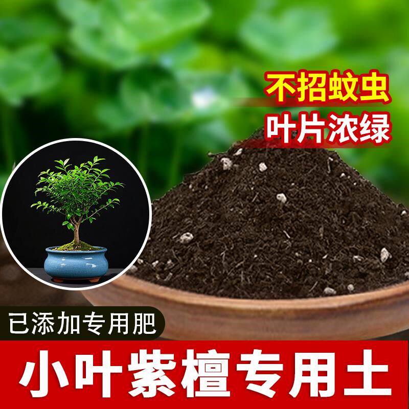 小叶紫檀专用土透气种植椰砖种菜土绿植蓬松小叶紫檀专用营养土