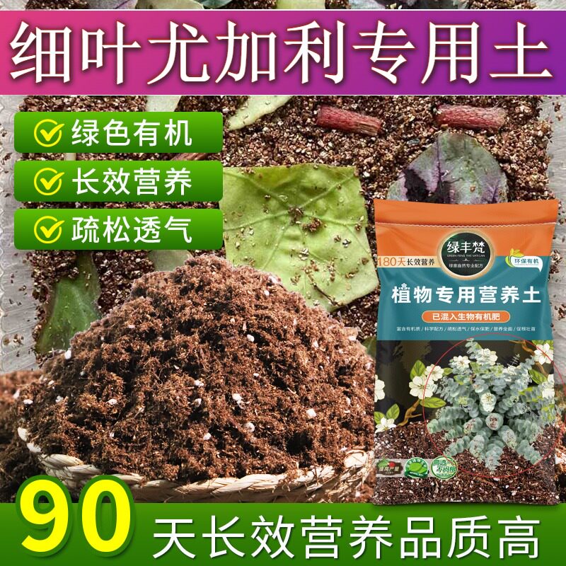 细叶尤加利适用配方土种植土有机质丰富维持疏松家用装球根