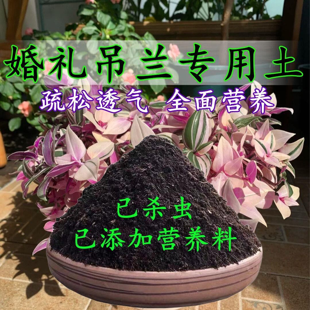 婚礼吊兰专用土婚礼吊兰土盆栽营养土酸性泥炭土壤绿植种植土肥料