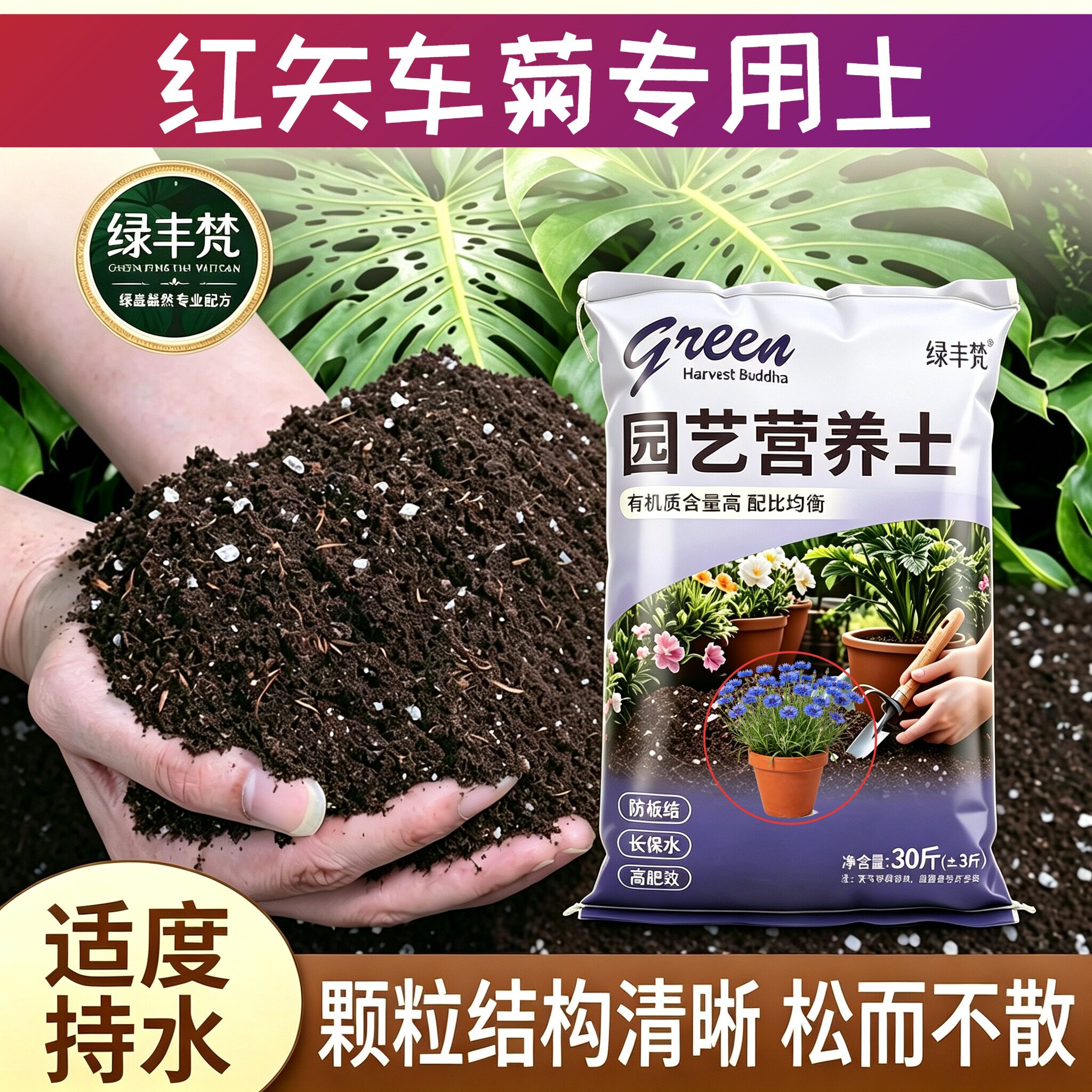 红矢车菊适用种菜土不烂根盆栽包邮优质防徒长球根多肉扦插专用