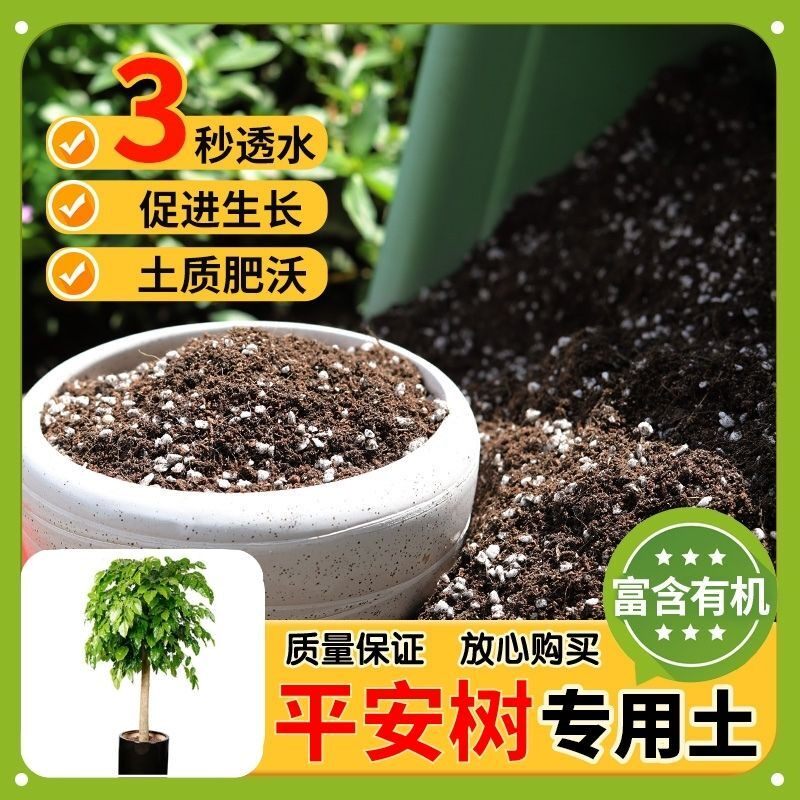 【平安树专用土】家用盆栽土加生根粉绿植专用有机植物营养肥料土