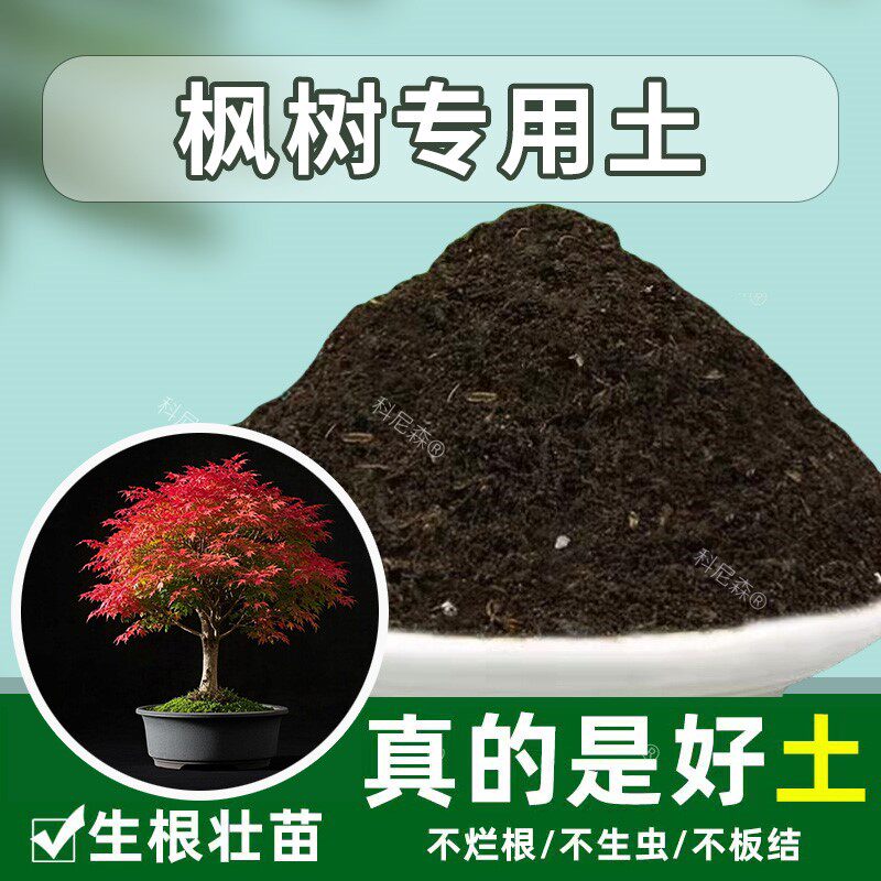 枫树专用土透气泥土枫树专用营养土椰砖土室内通用土种花土花卉土图片