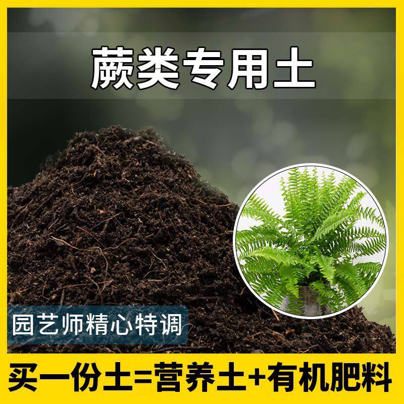 蕨类专用土蕨类植物优质土家用盆栽营养土酸性沙质土壤绿植种植土