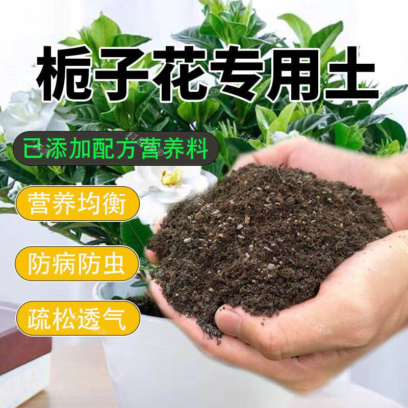 栀子花专用土养花营养土肥料通用型盆栽花卉有机泥土栀子花种植土