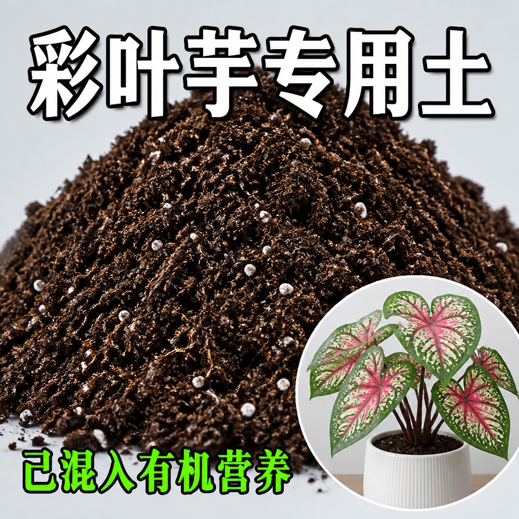 彩叶芋专用营养土疏松透气不板结盆栽种植土养花通用土壤图片