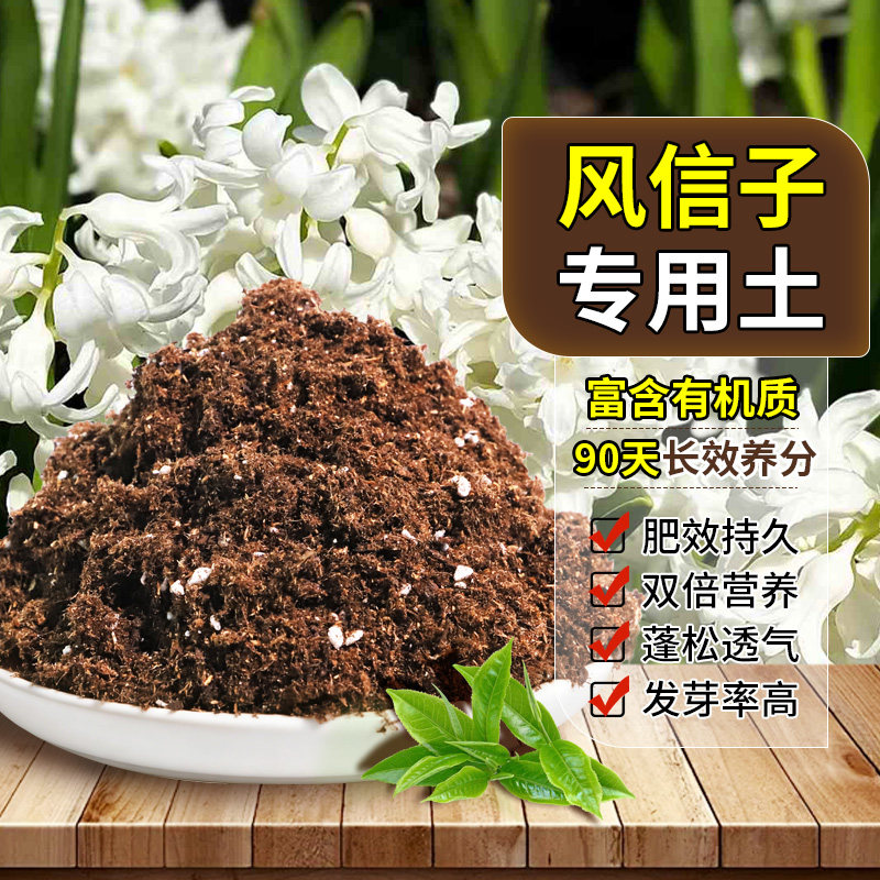 风信子专用轻质基质土透气性佳盆栽土性质稳定防徒长开袋即用木本