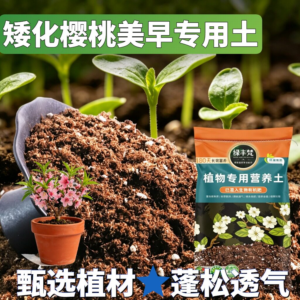 矮化樱桃美早适用轻质土盆栽土温和不烧根保水锁水大包装喜酸