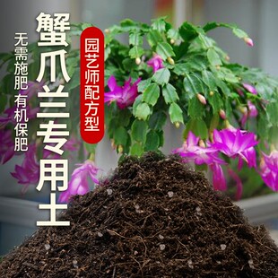蟹爪兰专用土盆栽土养花泥土家庭阳台透气种植土蟹爪兰营养土肥料