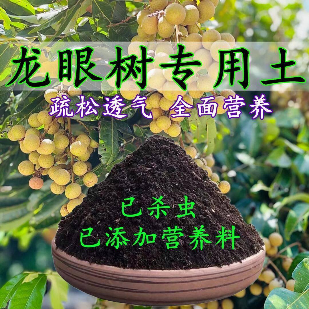 龙眼树专用土龙眼树土盆栽营养土酸性沙质土壤家用绿植种植土肥料