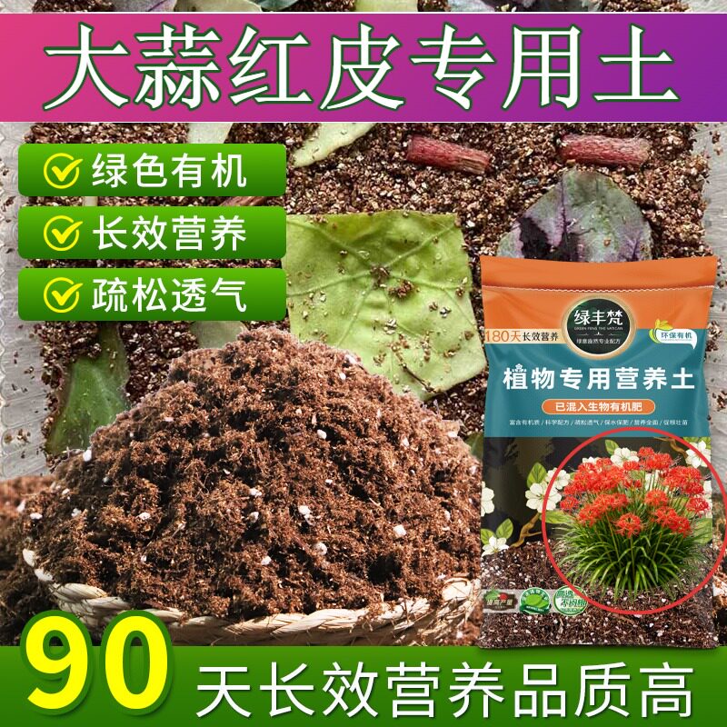 大蒜红皮专用土壤防烂根家庭盆栽土不易粉化维持疏松无草籽观花