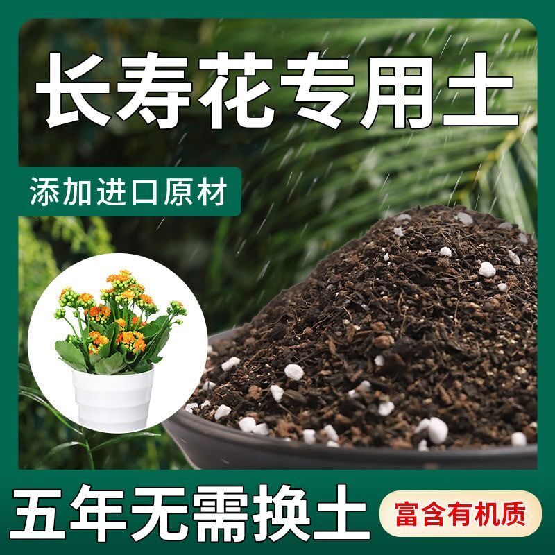 长寿花专用土花土营养土栽培土种养长寿花的土壤泥土配土盆栽肥料