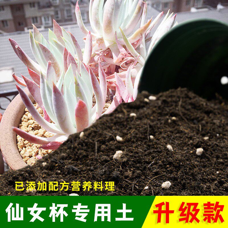 仙女杯专用土有机土肥料家用种植土仙女杯营养土盆栽养花通用包邮