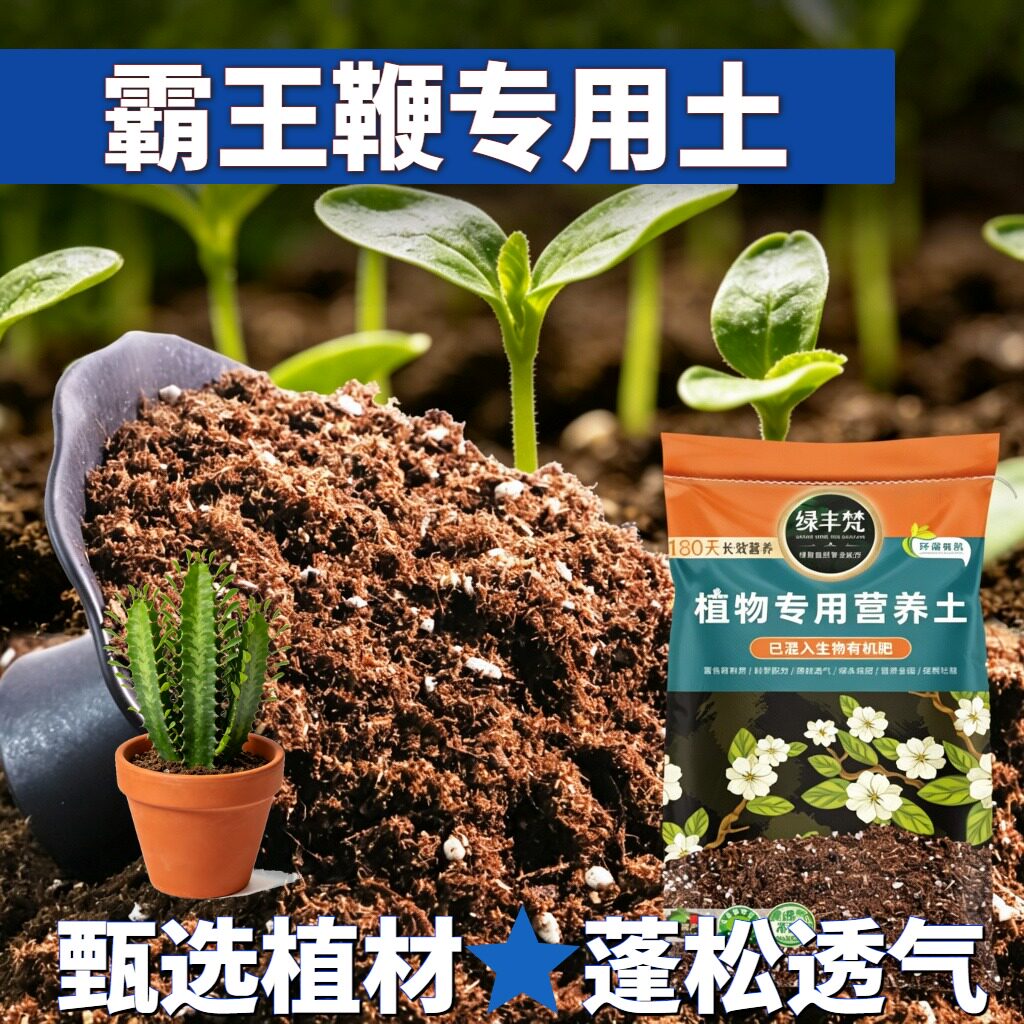 霸王鞭专用基质改良土质育苗种植土性质稳定涵养养分家用装喜酸