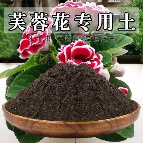 芙蓉花专用土芙蓉花土盆栽营养土通用种花养花泥土壤种植土有机肥