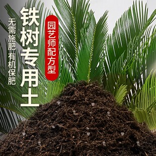 铁树专用土盆栽土养花泥土阳台种植土透气泥土铁树营养土肥料土壤