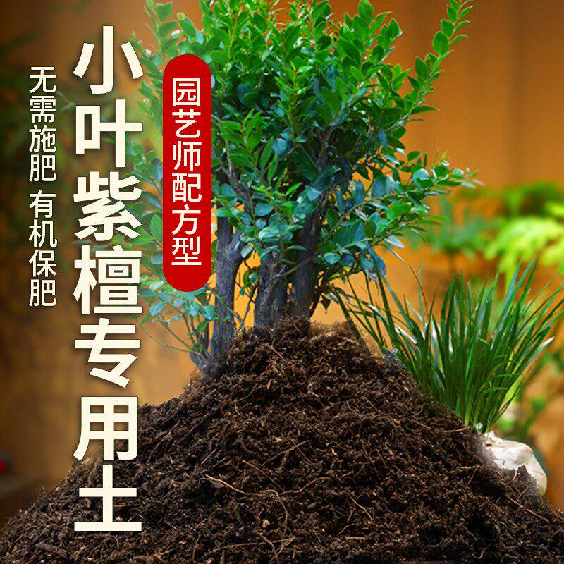 小叶紫檀专用土家庭盆栽土养花土阳台种植土小叶紫檀营养土微酸土