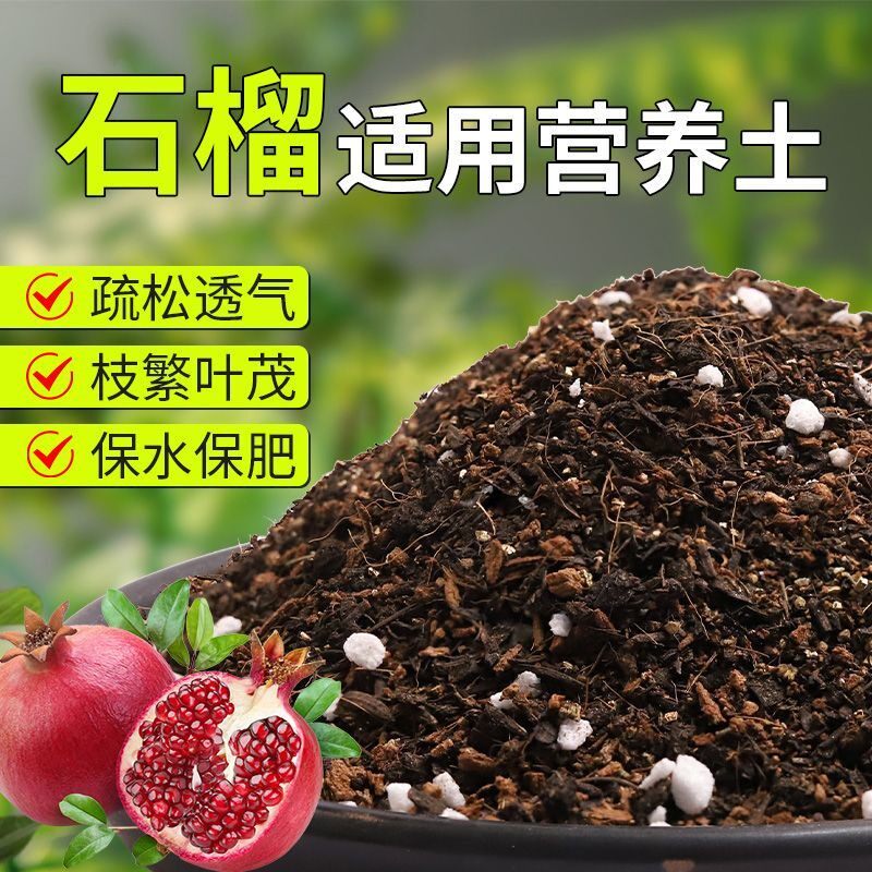 【石榴专用土】疏松透气盆栽绿植专用园艺室内植物有机营养土肥料