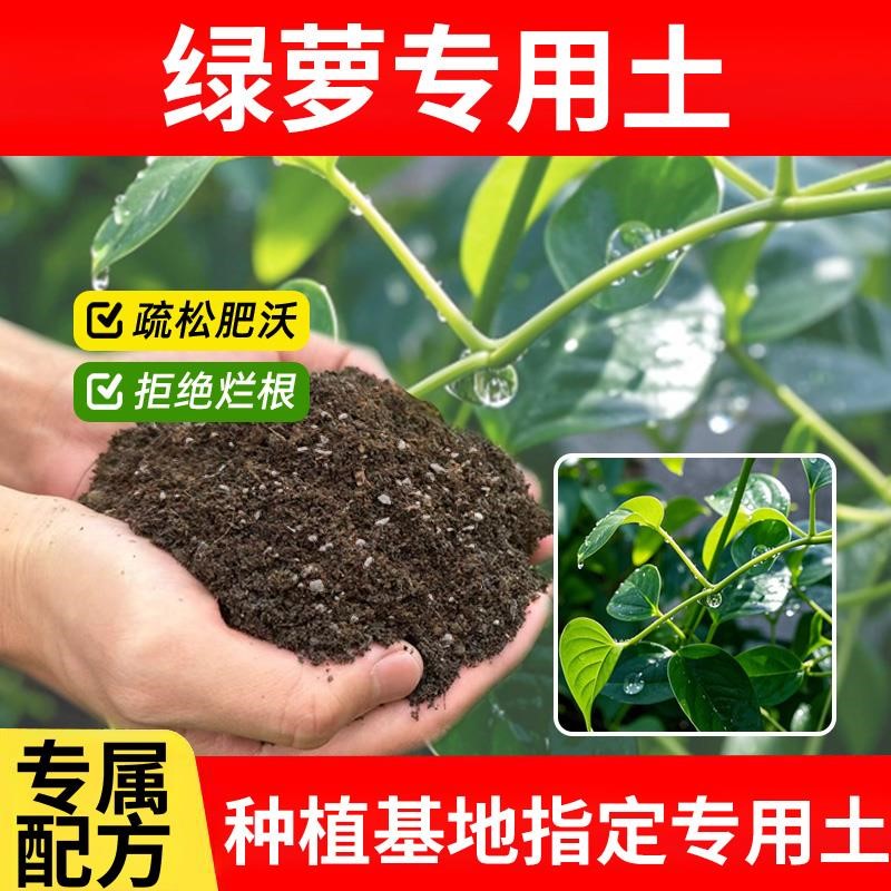 绿箩专用土栽培土育苗花土多肉土土壤绿箩专用营养土园艺家用家庭