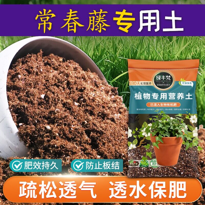 常春藤专用基质干湿循环好育苗盆栽土干净无尘防徒长无草籽观花