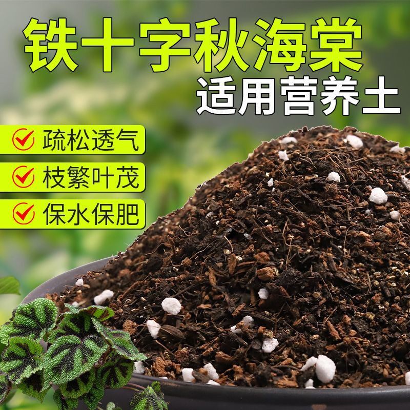 【铁十字秋海棠专用土】疏松透气盆栽绿植专用室内植物有机营养土