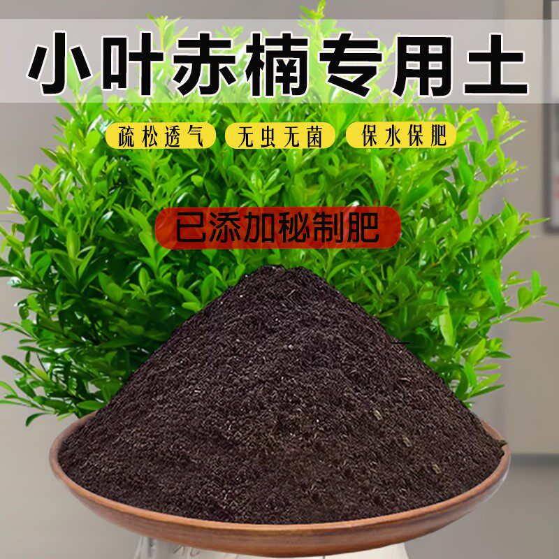 小叶赤楠专用土种植土椰砖土小叶赤楠营养土泥土盆栽土家用通用土