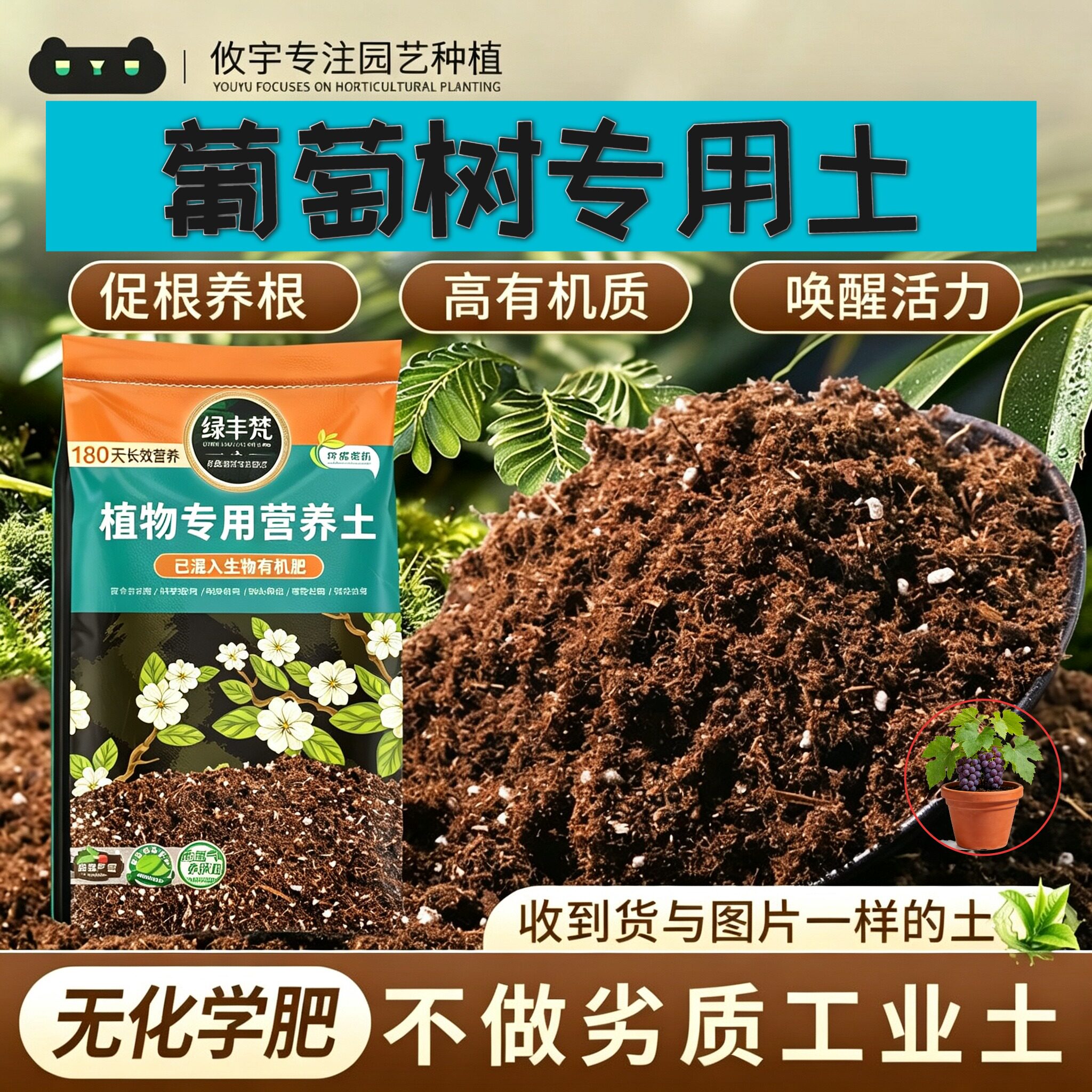 葡萄树适用育苗土无尘处理室内营养土进口辅助发根家用装球根菜园