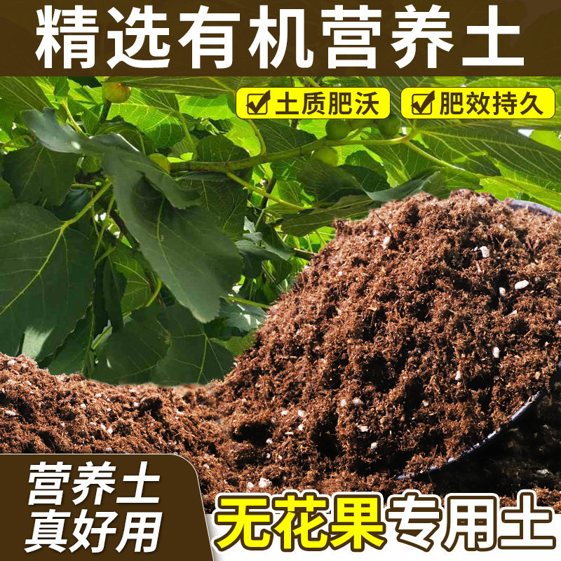 无花果专用土壤改良土质营养土配比科学缓冲肥效开袋即用观花