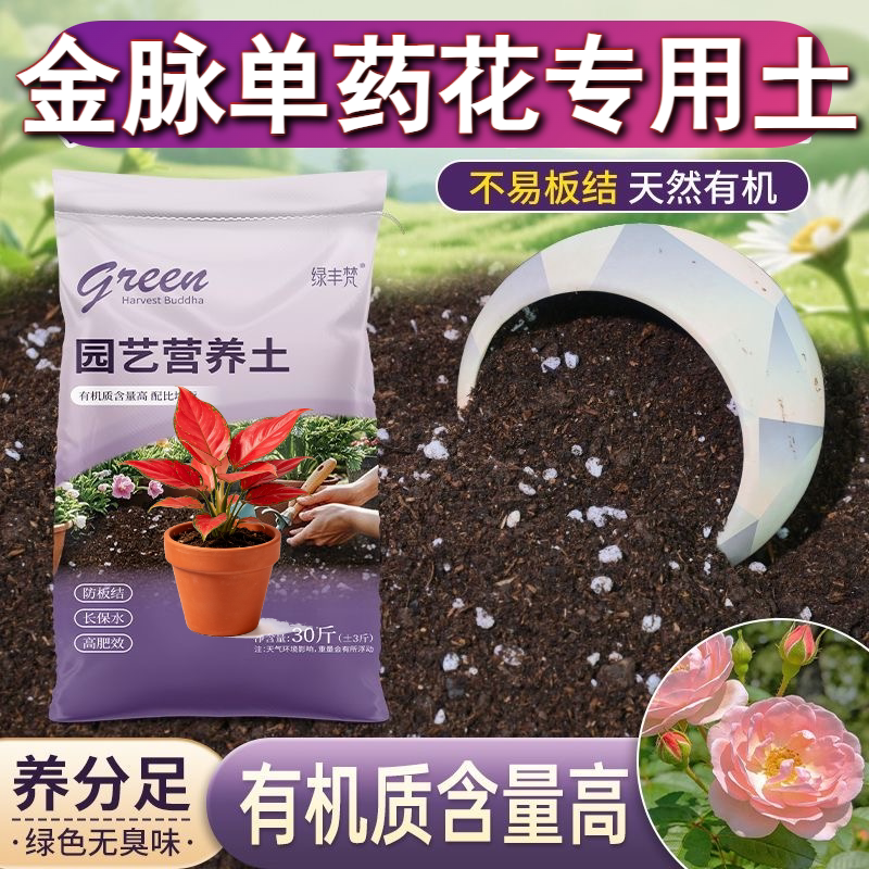 金脉单药花专用腐叶土高温灭菌菜园加有机肥天然防徒长观花盆栽