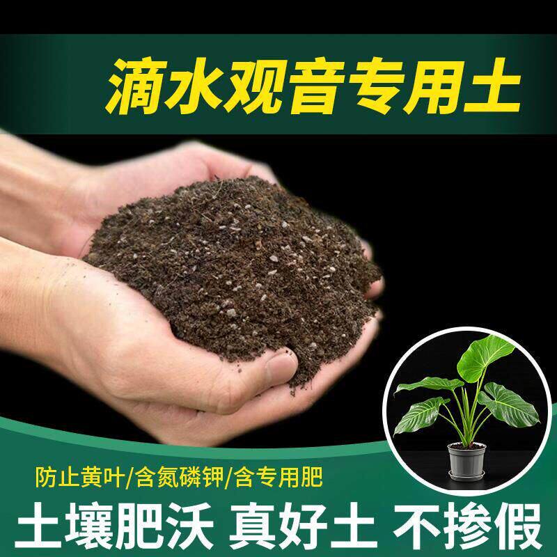 滴水观音专用土植物种花滴水观音专用营养土花土疏松育苗花土花肥