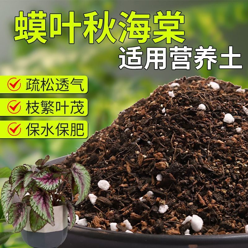 【蟆叶秋海棠专用土】疏松透气盆栽绿植专用室内植物有机营养土肥