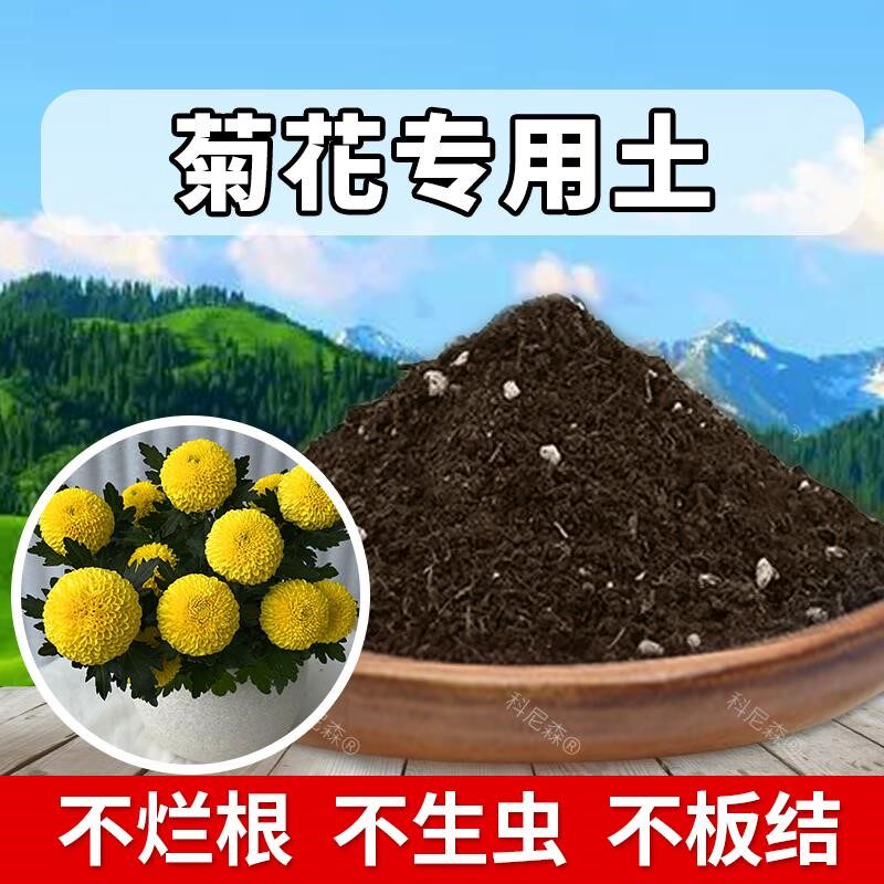 菊花专用土肥料菊花营养土有机土花卉天然种花土家庭泥土盆栽土壤