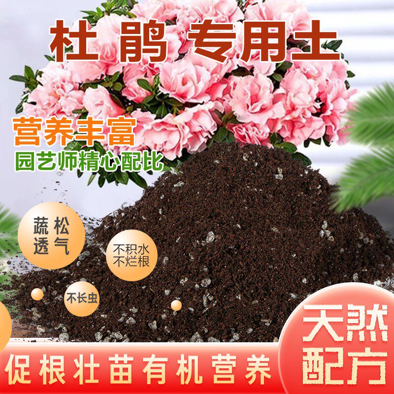 杜鹃花专用土酸性土包邮土壤养花种植土泥土通用型营养土盆栽肥料