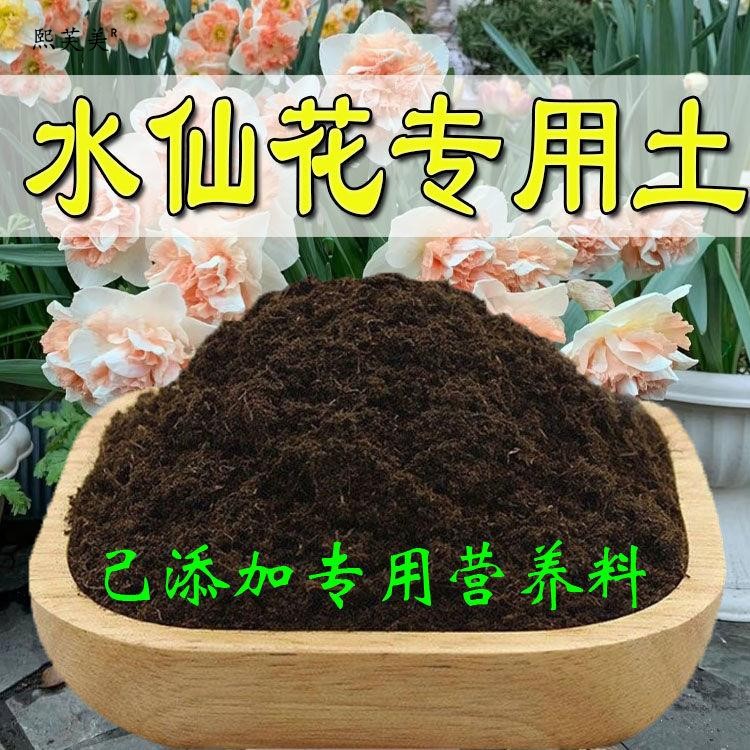 水仙专用轻质有机土蓬松多孔防烂根阳台营养土无虫卵观花种植土