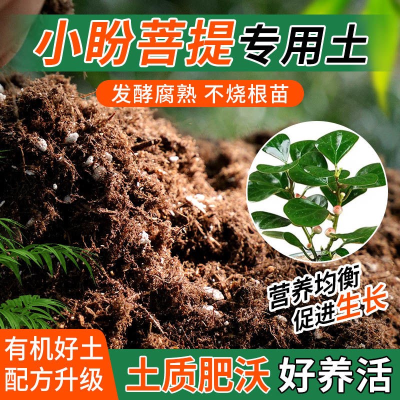 小盼菩提专用土无菌干净种菜土不板结扦插盆栽加深生根粉通用家用