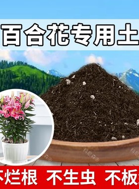百合花专用土种花泥土花草盆栽土壤百合花专用肥料家庭养花营养土