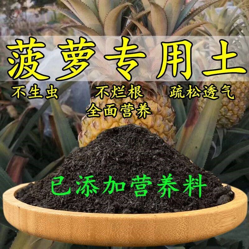 菠萝专用土凤梨专用营养土盆