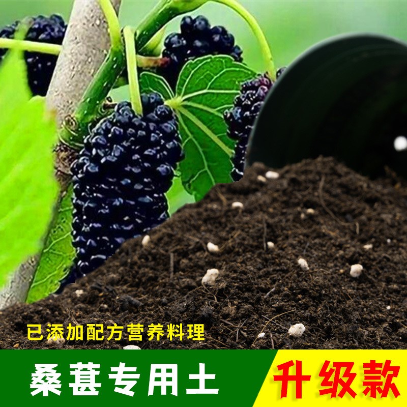 桑葚专用土有机土肥料家用种植土桑葚营养土盆栽养花土壤通用包邮