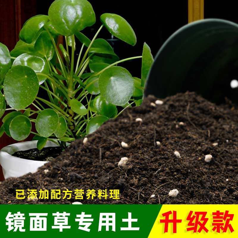 镜面草专用土有机土肥料家用种植土镜面草营养土盆栽养花通用包邮