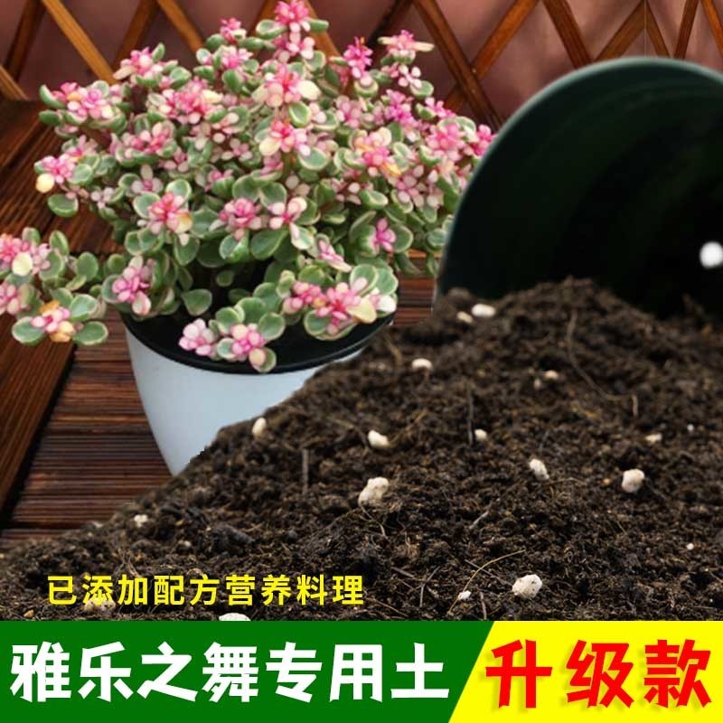 雅乐之舞天然腐殖养花土泥炭土疏松透气加珍珠岩室内加有机肥家用