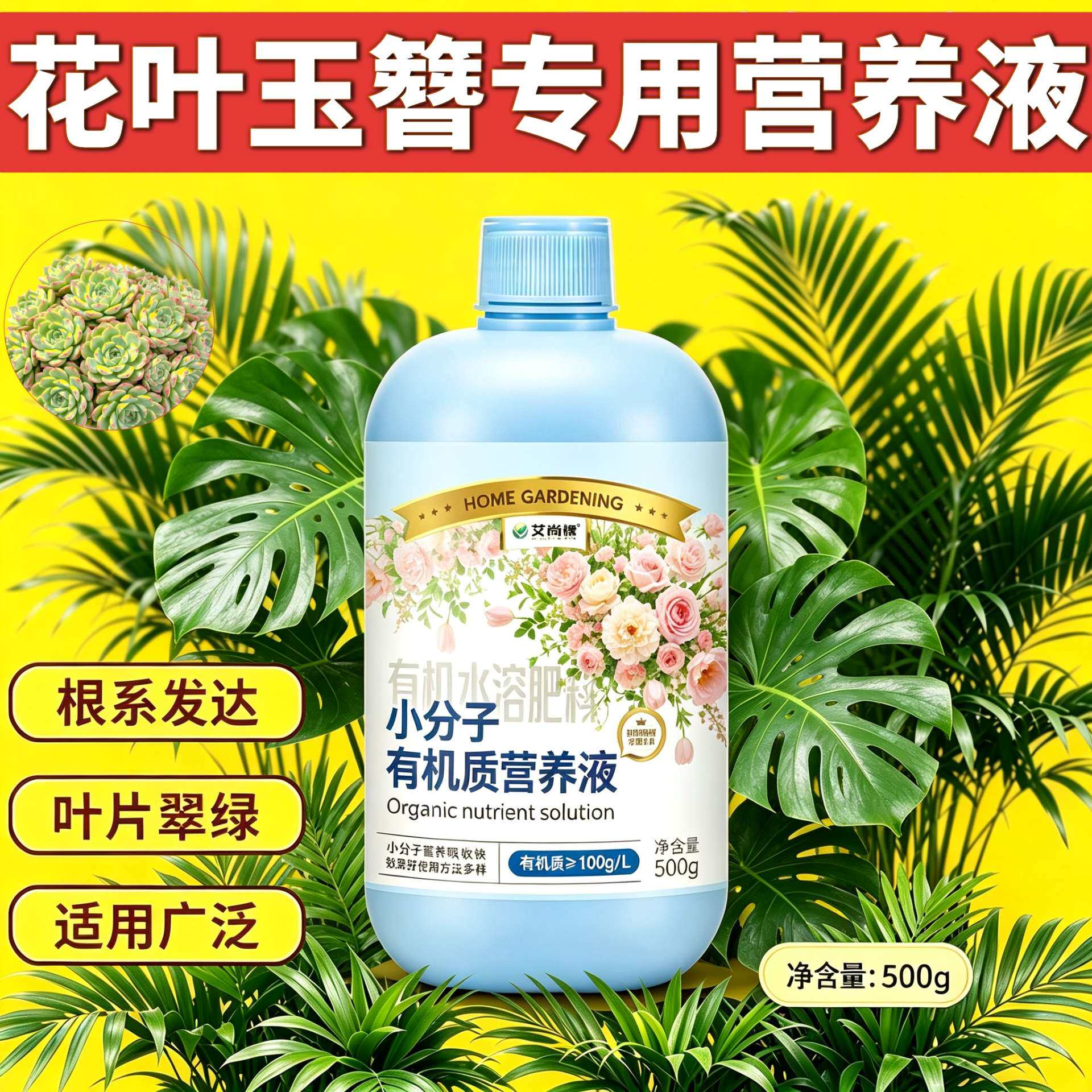 花叶玉簪适用有机营养液壮根促长盆栽园艺专用小分子有机质家用