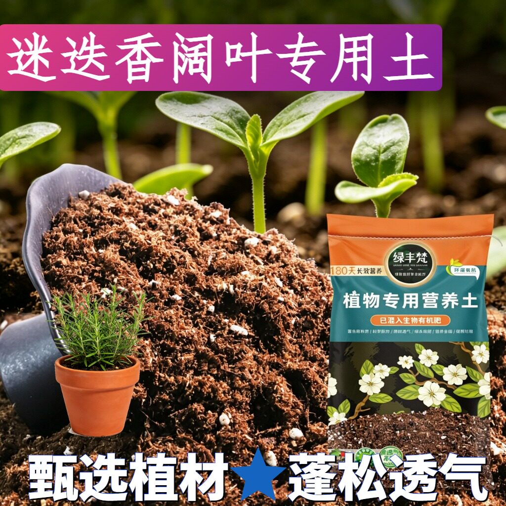 迷迭香阔叶适用轻质园艺土盆栽土腐熟充分维持疏松无草籽木本