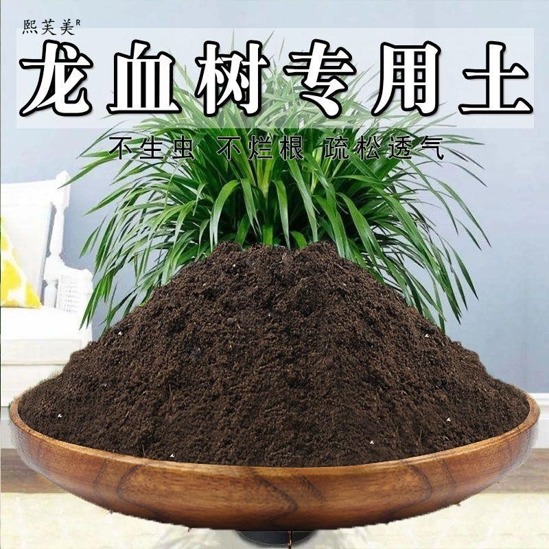 龙血树专用土龙须树营养土盆栽室内龙铁绿植养花土壤种植土有机肥