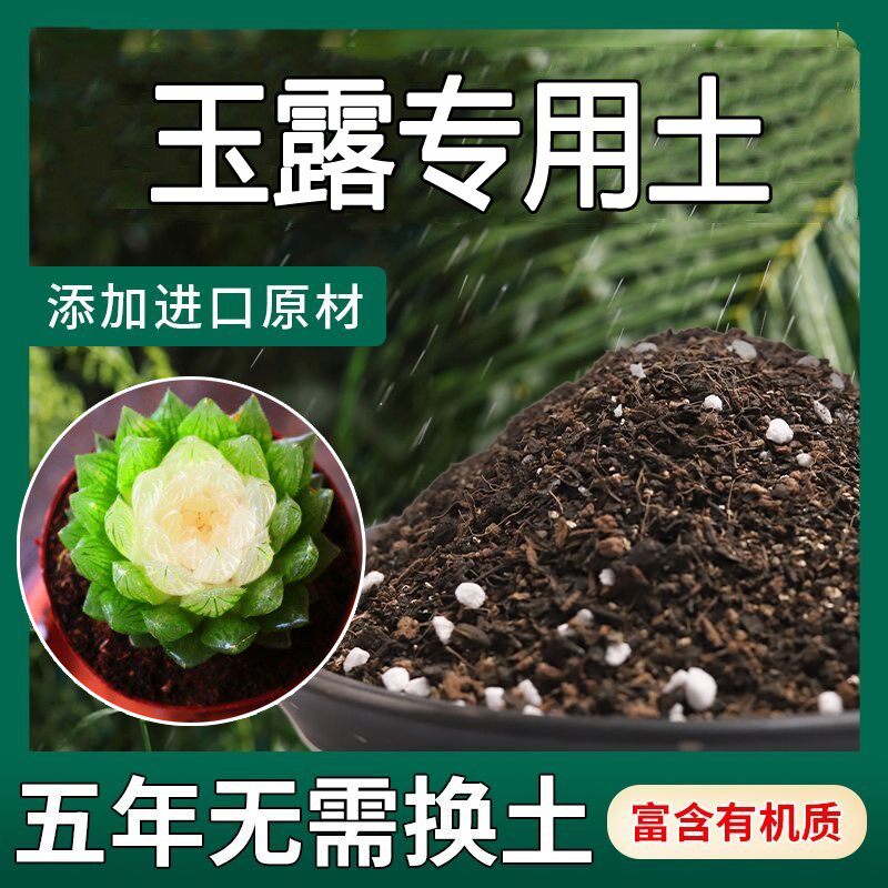 玉露专用土多肉颗粒土多肉土专用营养土种植土铺面石颗粒泥炭花土